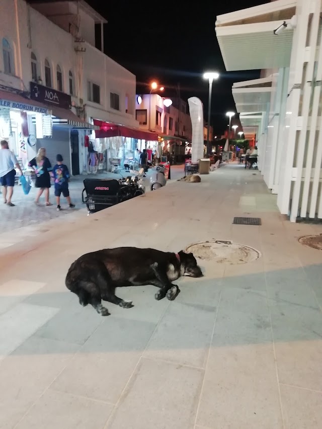Turgutreis Yaşam Merkezi fotoğrafı