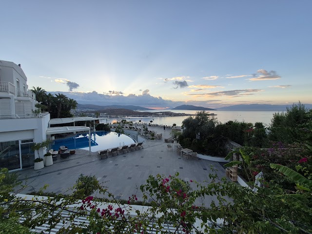 Doria Hotel fotoğrafı