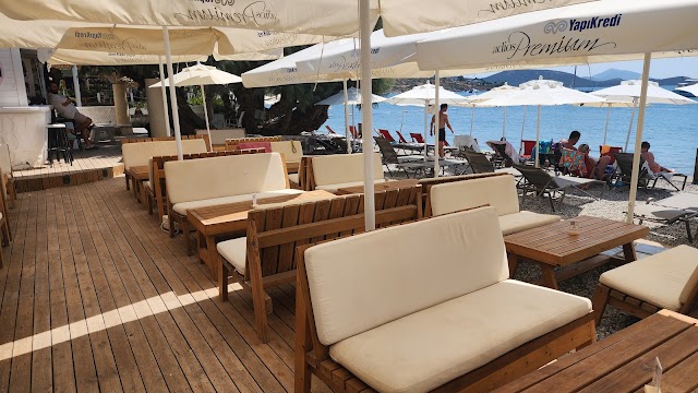  Surfer Caravan Beach fotoğrafı