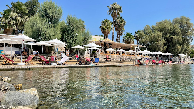  Surfer Caravan Beach fotoğrafı