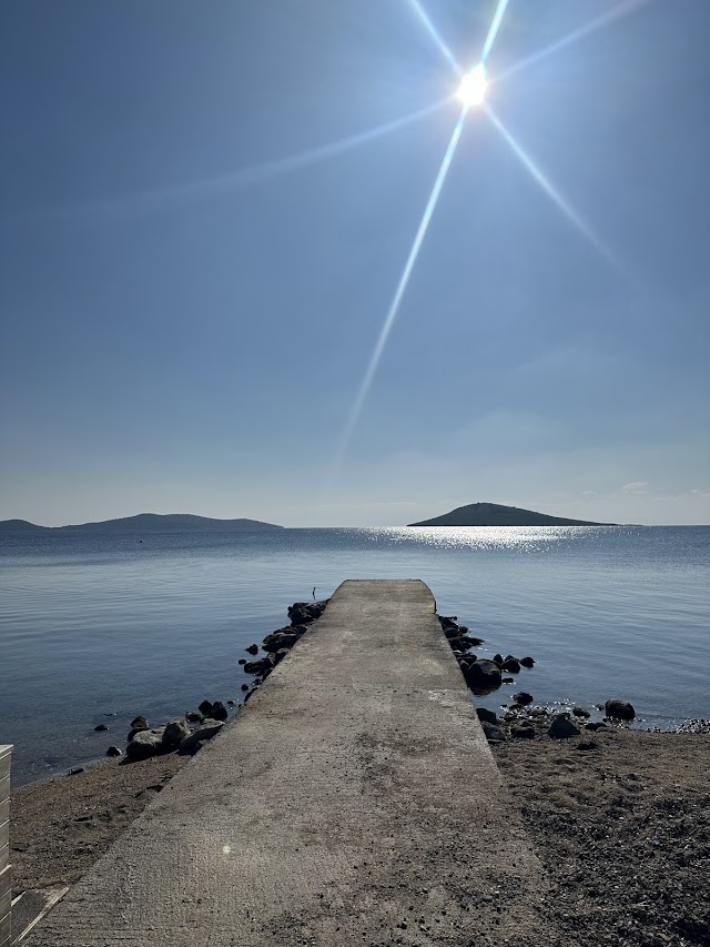  Surfer Caravan Beach fotoğrafı