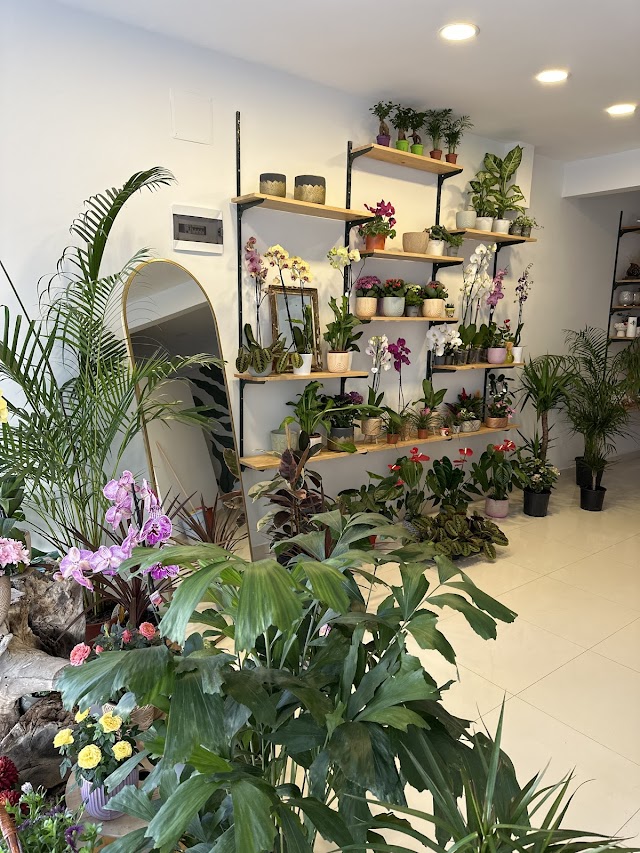 Maranda'A Çiçekçilik fotoğrafı