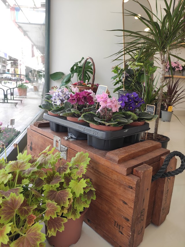 Maranda'A Çiçekçilik fotoğrafı