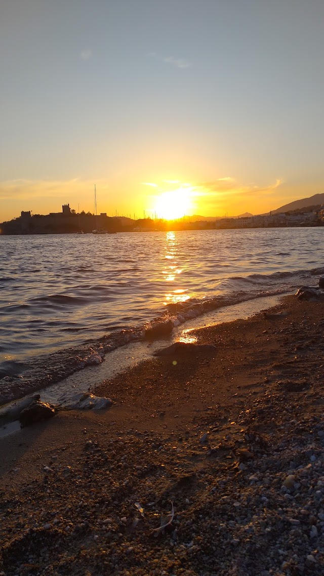 Leman Kültür Bistro fotoğrafı