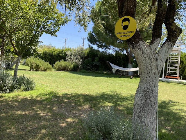 Şirin Bahçe Bodrum fotoğrafı