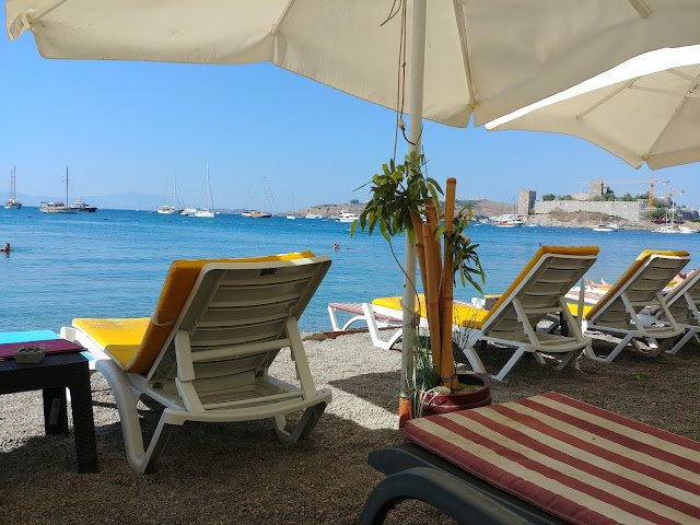 Pera Bistro & Lounge fotoğrafı