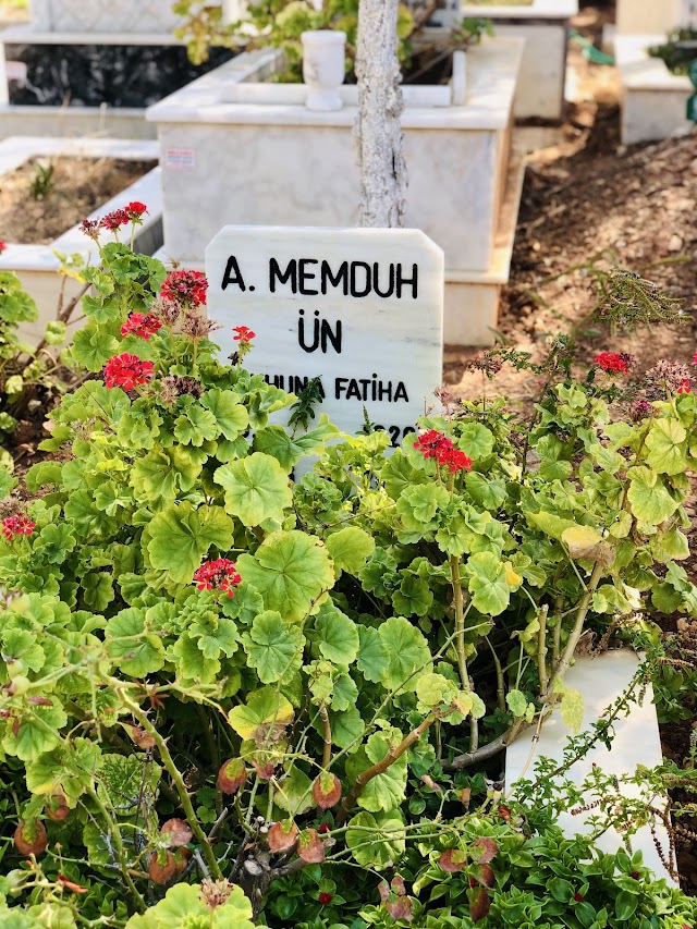 Torba Mezarlığı fotoğrafı