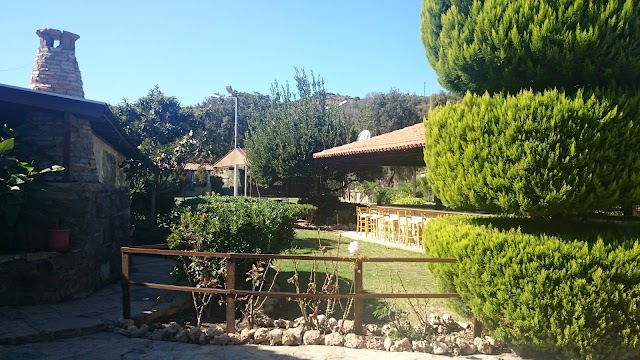 Bitez Defne fotoğrafı