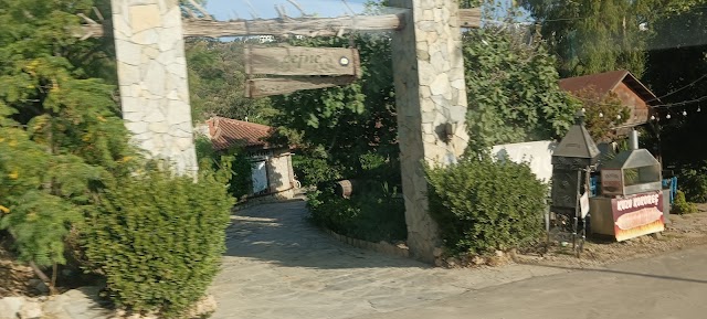 Bitez Defne fotoğrafı