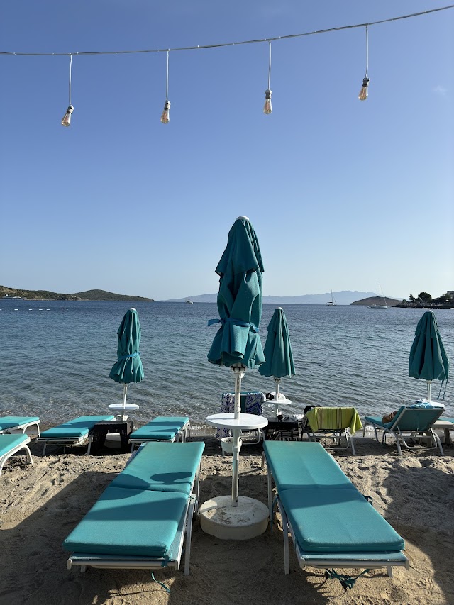 New Season Restaurant fotoğrafı