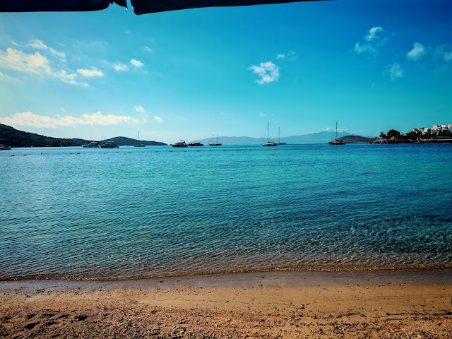 New Season Restaurant fotoğrafı