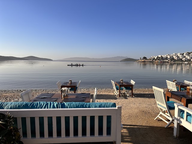 New Season Restaurant fotoğrafı