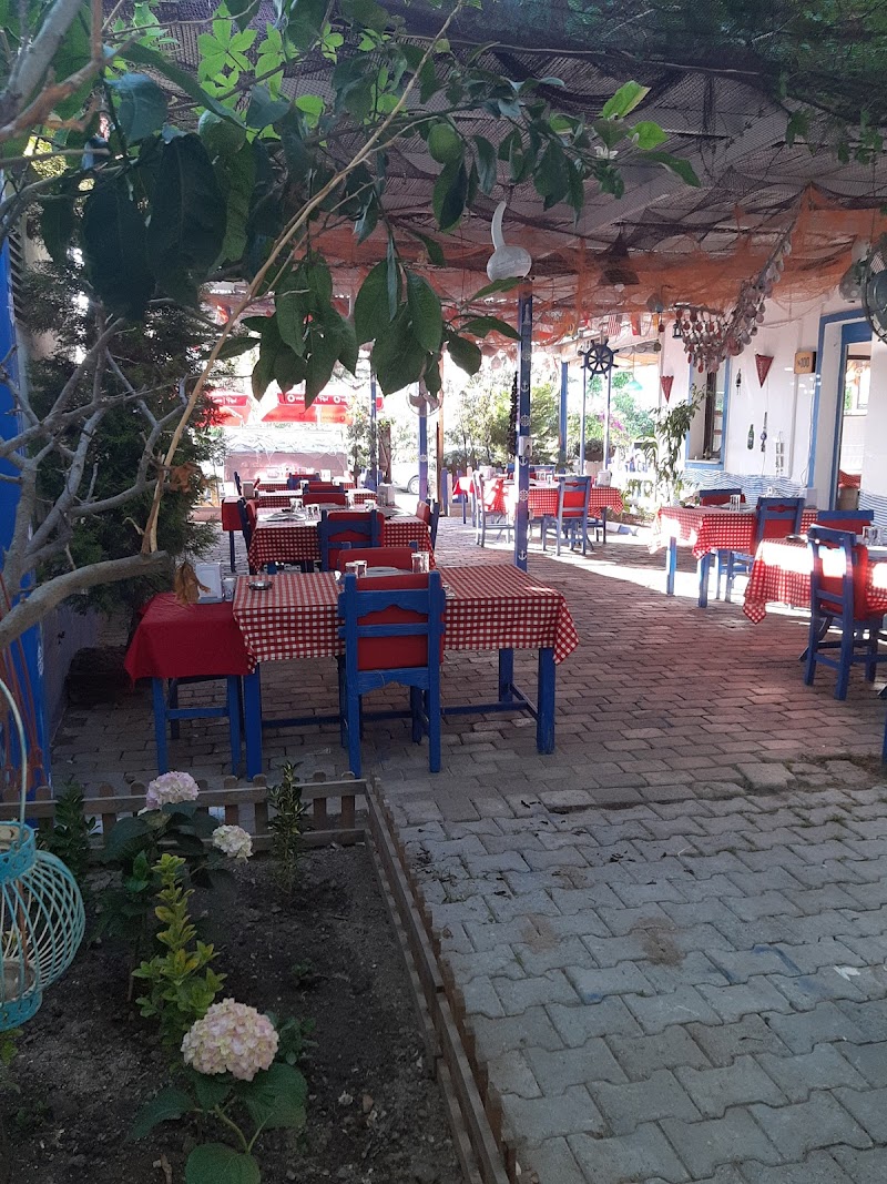 Yalıkavak Balıkçısı fotoğrafı