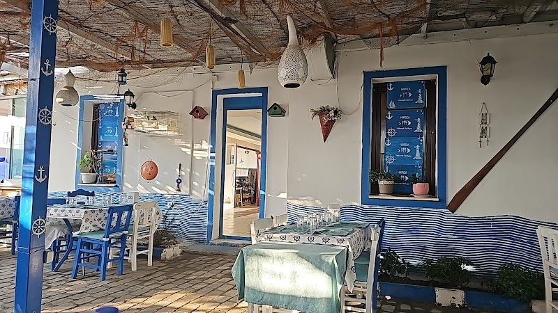 Yalıkavak Balıkçısı fotoğrafı