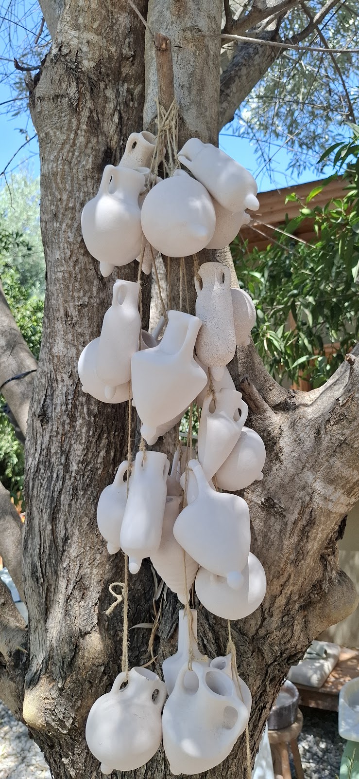 Wild N Clay Ceramics fotoğrafı