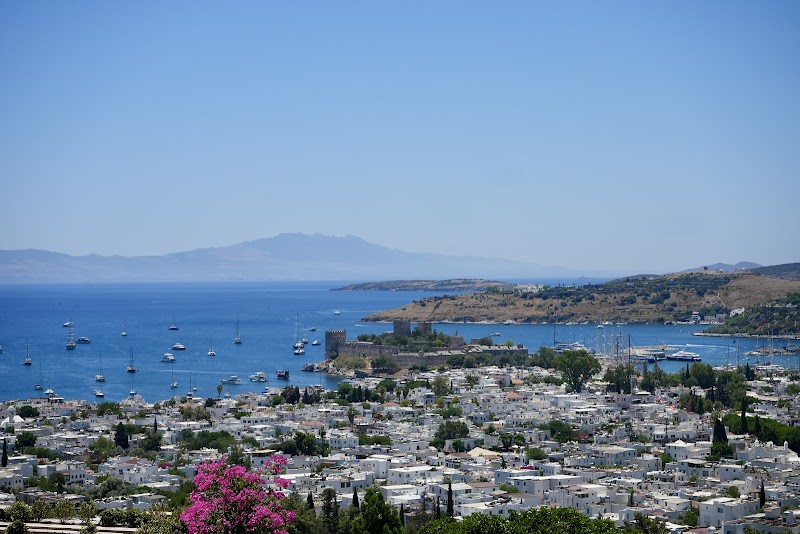 Mavilu Luxury Hotel fotoğrafı