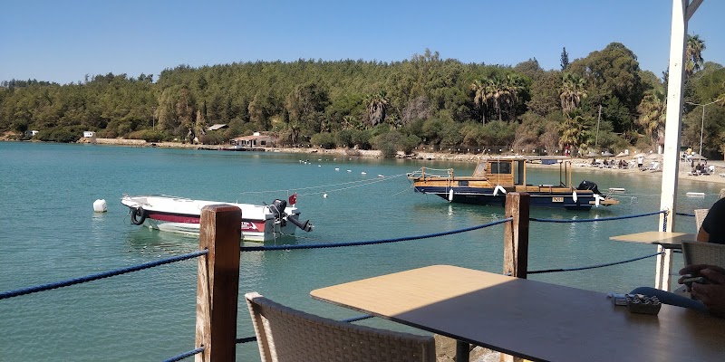 Güvercinlik Cafe - Bodrum Belediye A.Ş. fotoğrafı