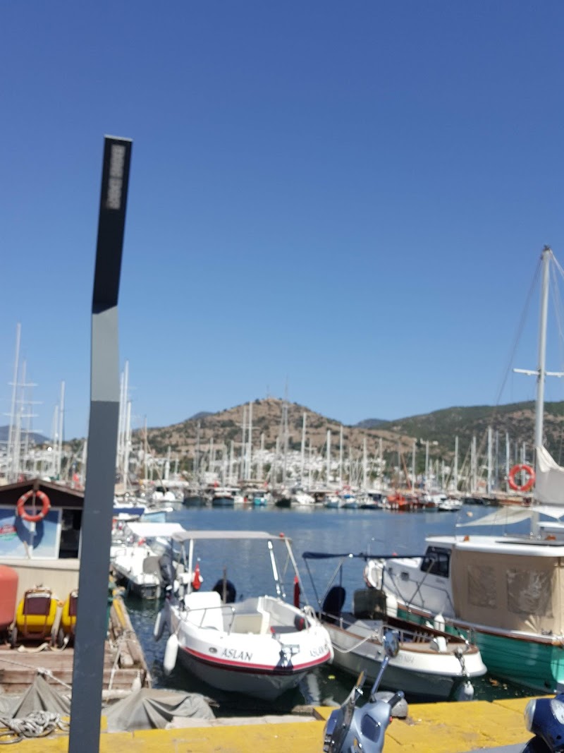 Akyarlar Köy Muhtarlığı fotoğrafı