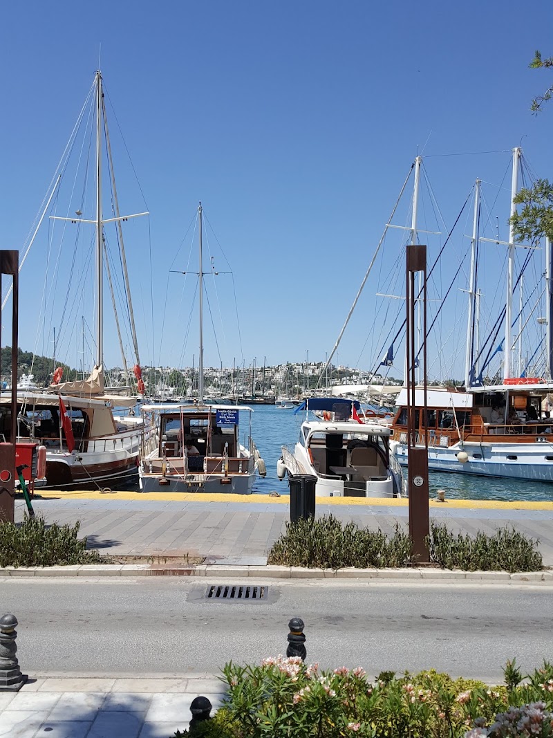 Akyarlar Köy Muhtarlığı fotoğrafı