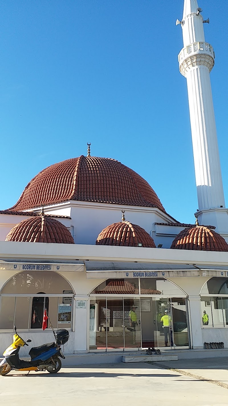 Torba camii fotoğrafı