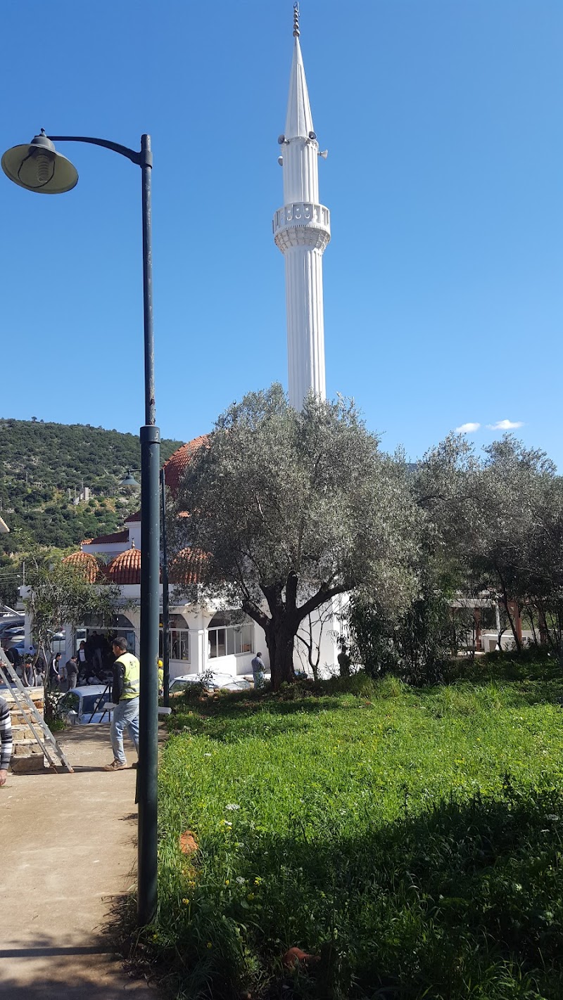 Torba camii fotoğrafı