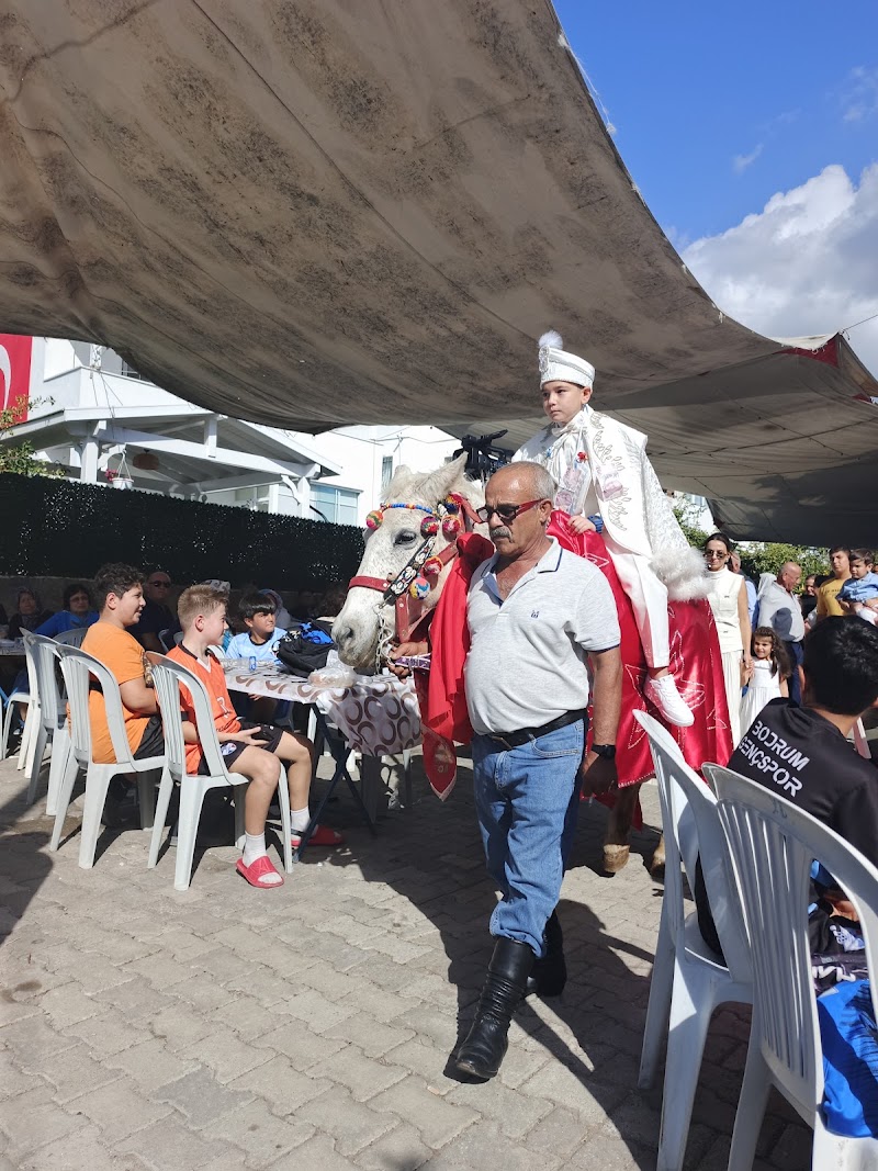 Bodrum Belediyesi Kültür ve Sosyal İşler Müdürlüğü Akçaalan Çok Amaçlı Salonu fotoğrafı