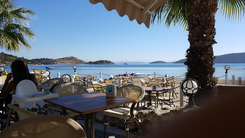 Türkbükü Cafe - Bodrum Belediye A.Ş. fotoğrafı