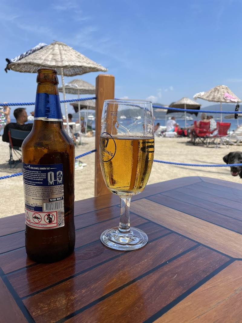 Türkbükü Cafe - Bodrum Belediye A.Ş. fotoğrafı