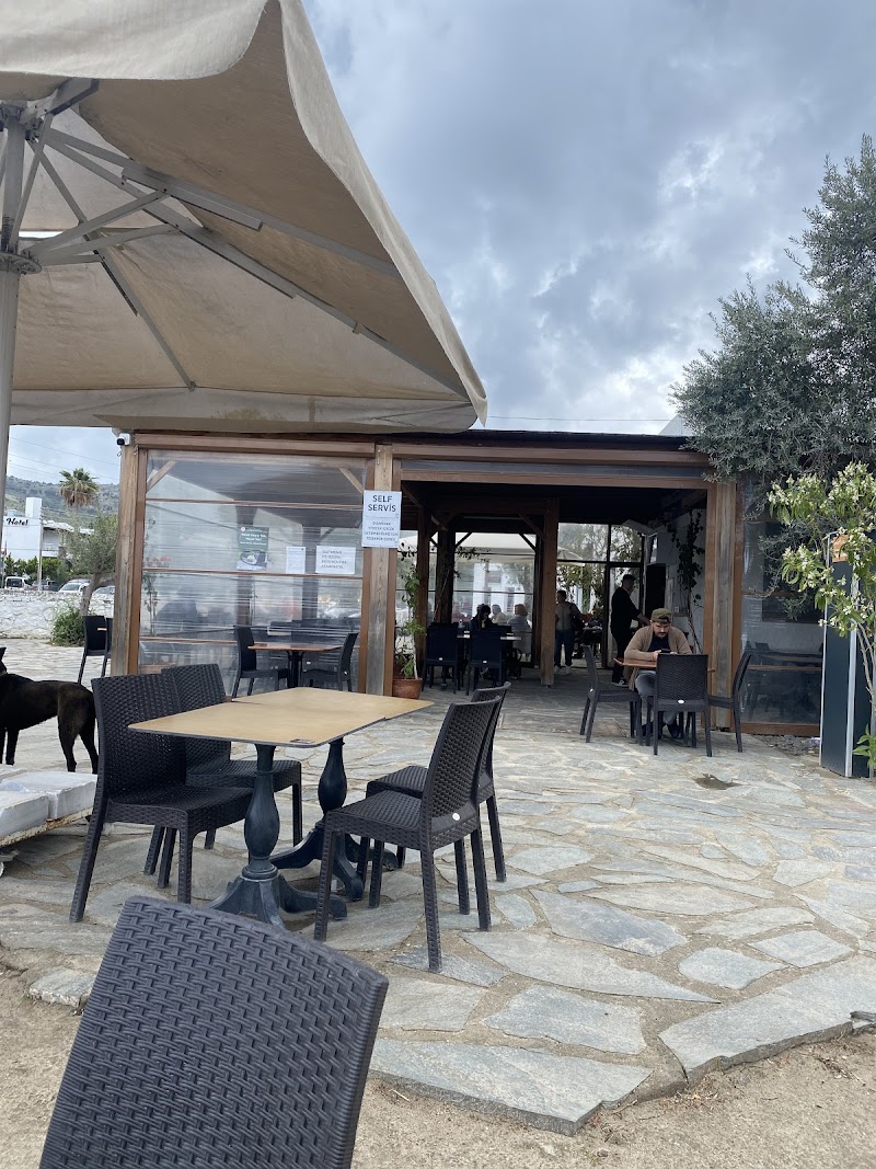 Türkbükü Cafe - Bodrum Belediye A.Ş. fotoğrafı