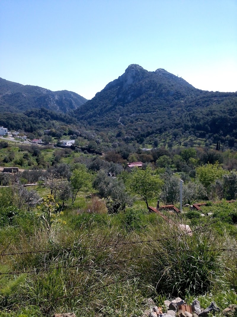 Dağbelen fotoğrafı