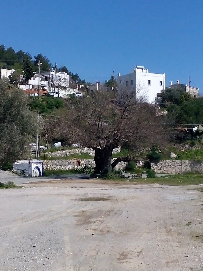 Dağbelen fotoğrafı