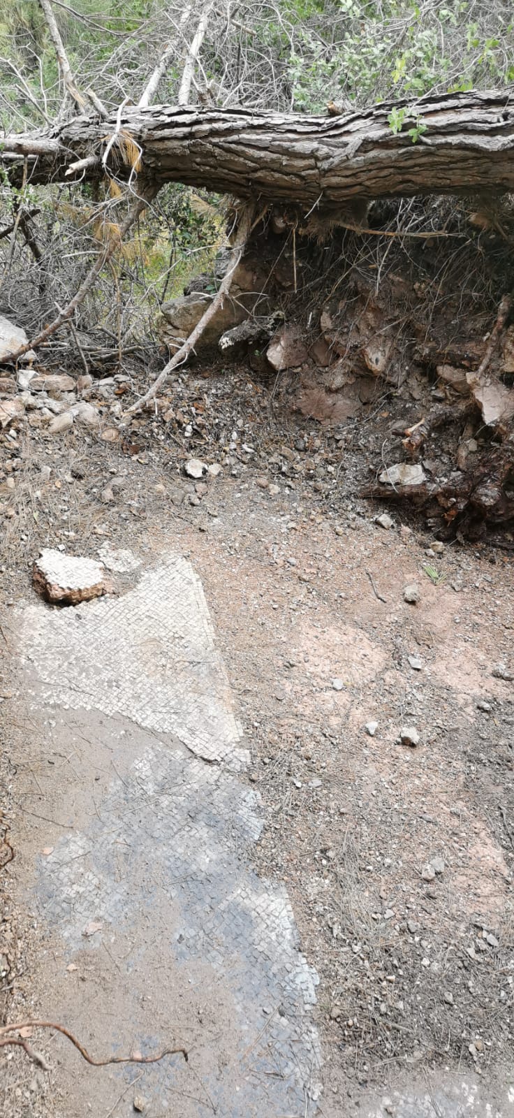 Dağbelen fotoğrafı