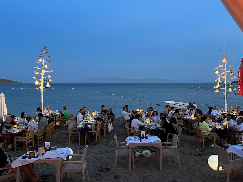 Çipa Beach - Çipa Balık fotoğrafı