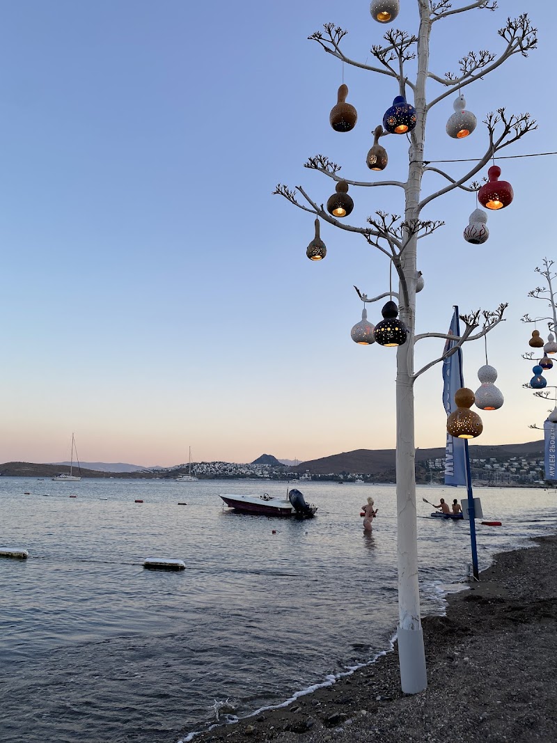 Çipa Beach - Çipa Balık fotoğrafı