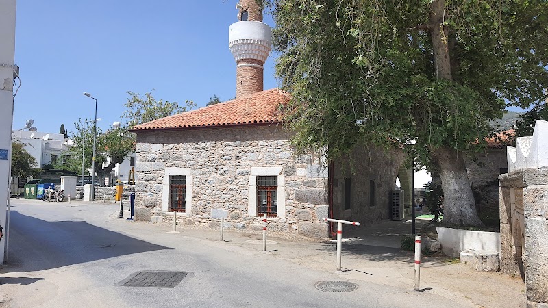 Turkkuyusu Mosque fotoğrafı