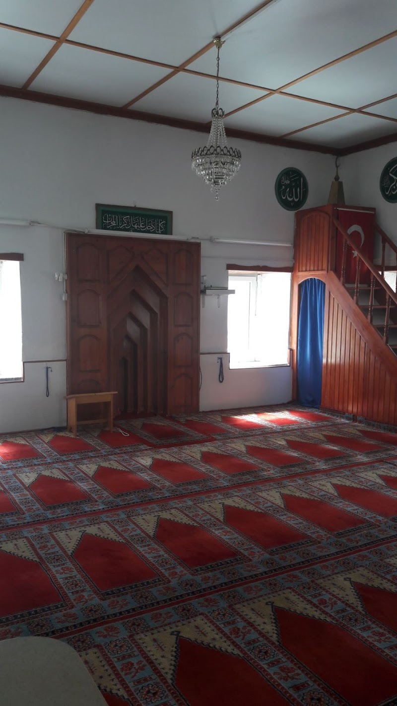 Turkkuyusu Mosque fotoğrafı
