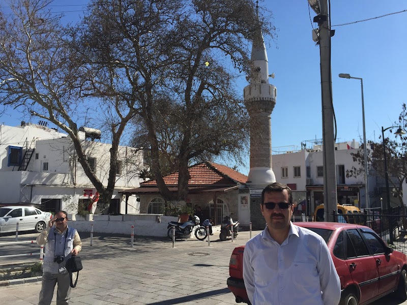Turkkuyusu Mosque fotoğrafı