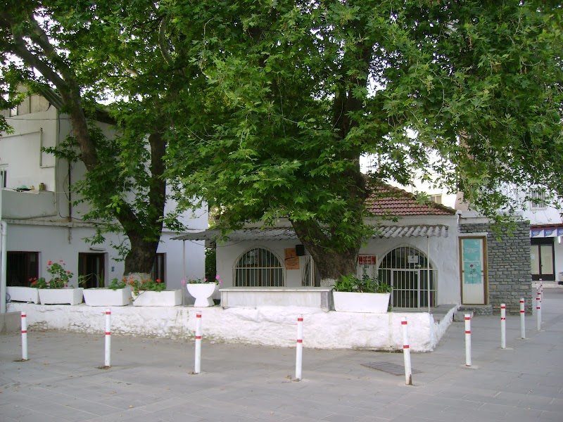 Turkkuyusu Mosque fotoğrafı