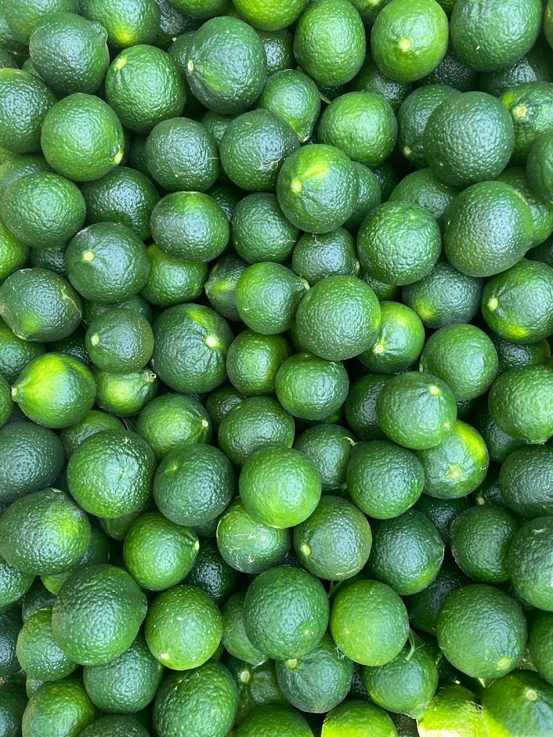 B.B. Bitez Mandalin Uygulama Bahçesi fotoğrafı