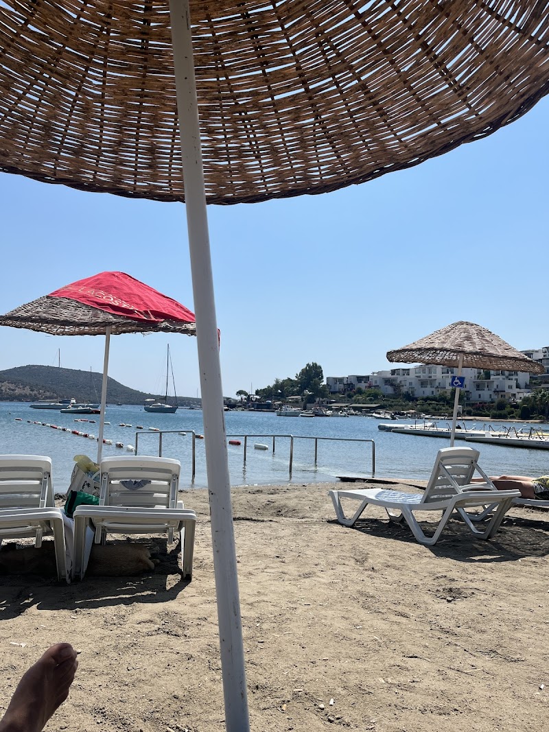 Halikarnas Kürek fotoğrafı