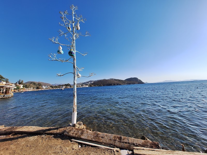 Gümüşük Cafe - Bodrum Belediye A.Ş. fotoğrafı