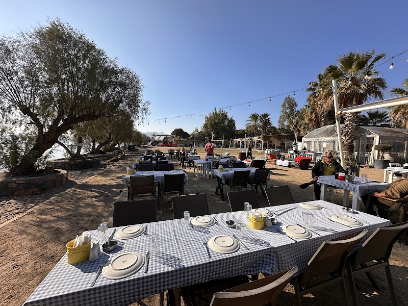 Yüzgeç fotoğrafı