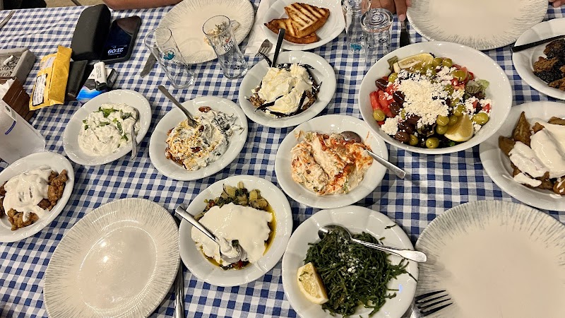 Yüzgeç fotoğrafı