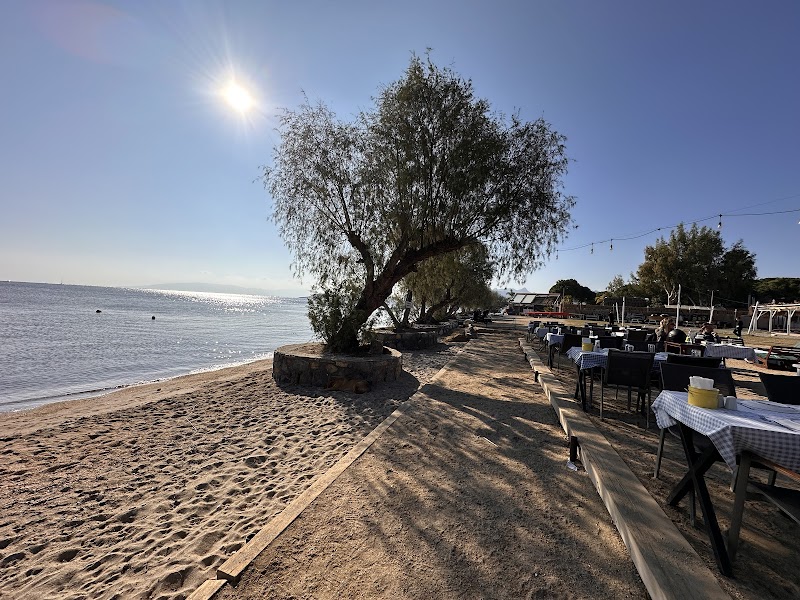 Yüzgeç fotoğrafı