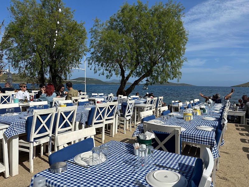 Yüzgeç fotoğrafı