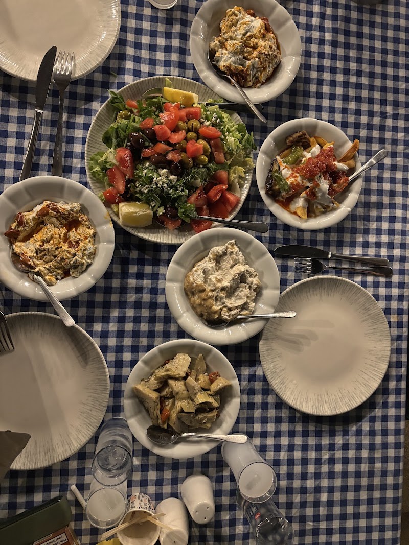 Yüzgeç fotoğrafı