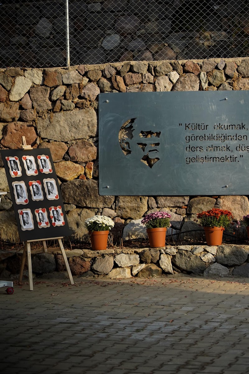 Zeytin Ağacı Atölye fotoğrafı