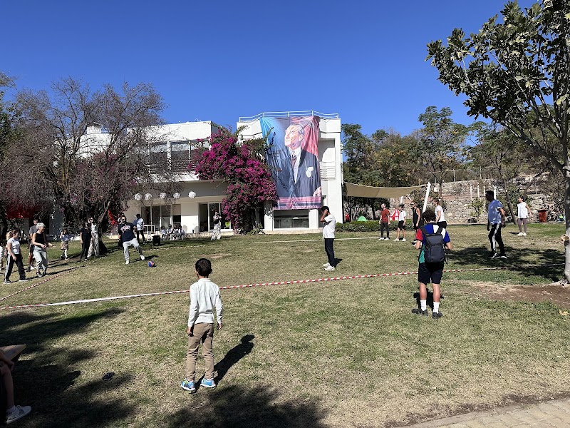 Zeytin Ağacı Atölye fotoğrafı