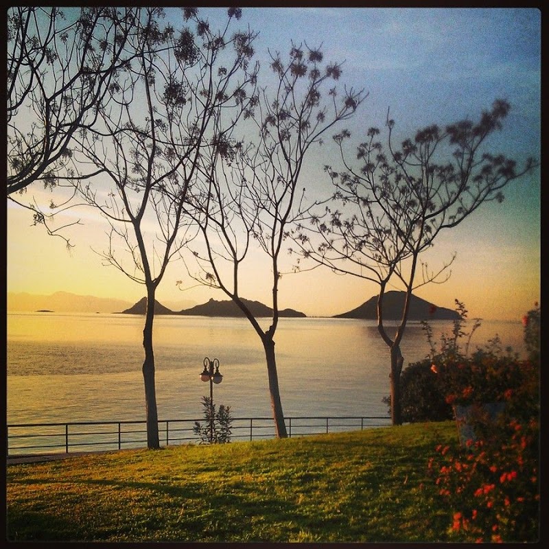 Şevket Sabancı Parkı fotoğrafı