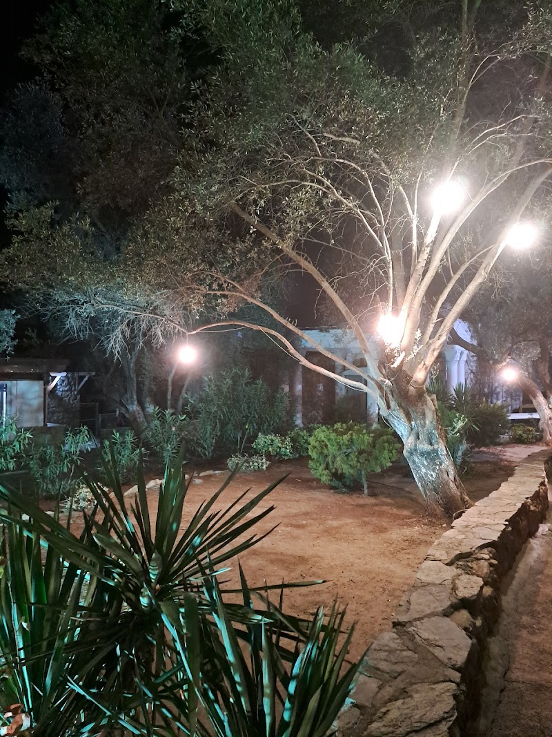 Müsgebi Etkinlik Merkezi - Bodrum Belediye A.Ş. fotoğrafı